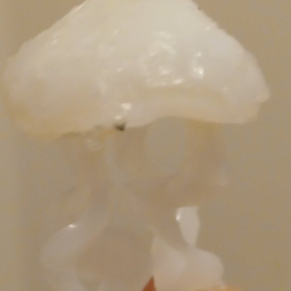 Jellyfish and stickers
